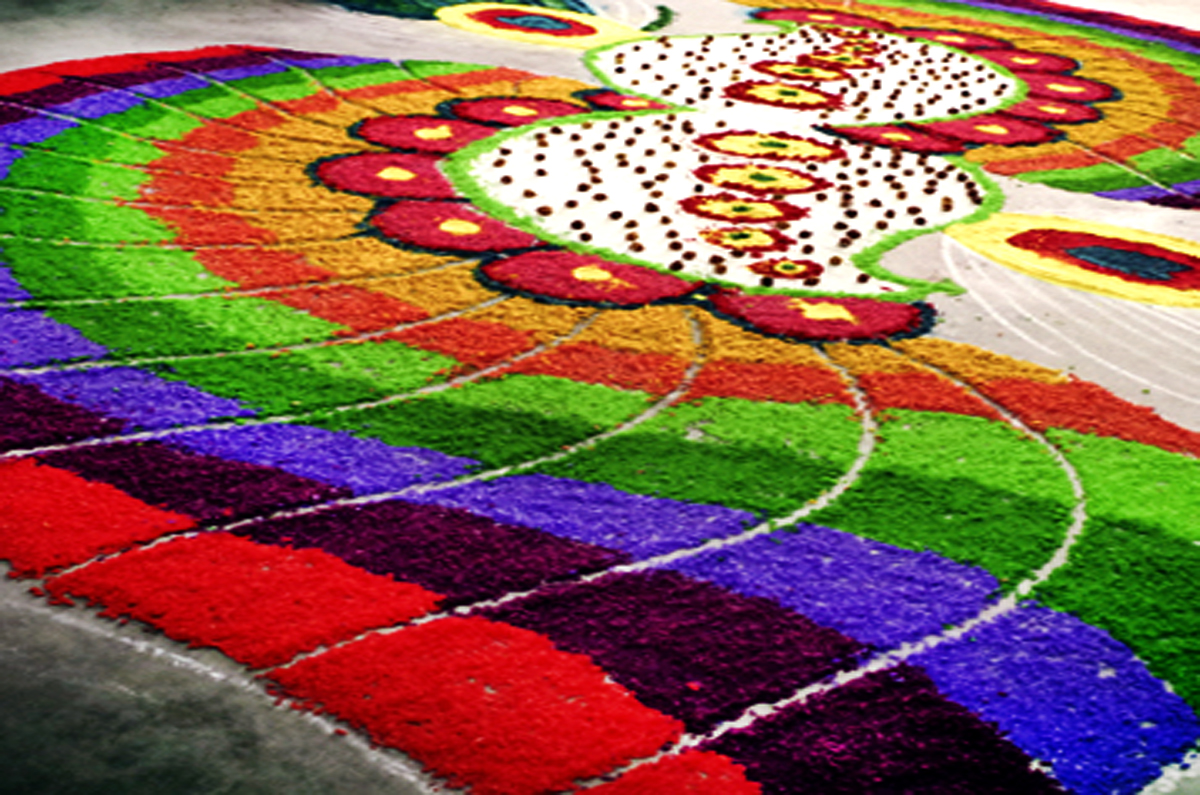 GLIMPES OF MY SCHOOL